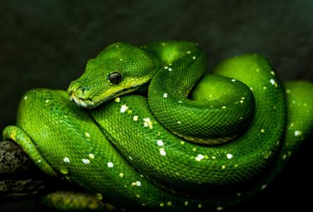 Upload (Functional) Python Projects to pip and PyPI